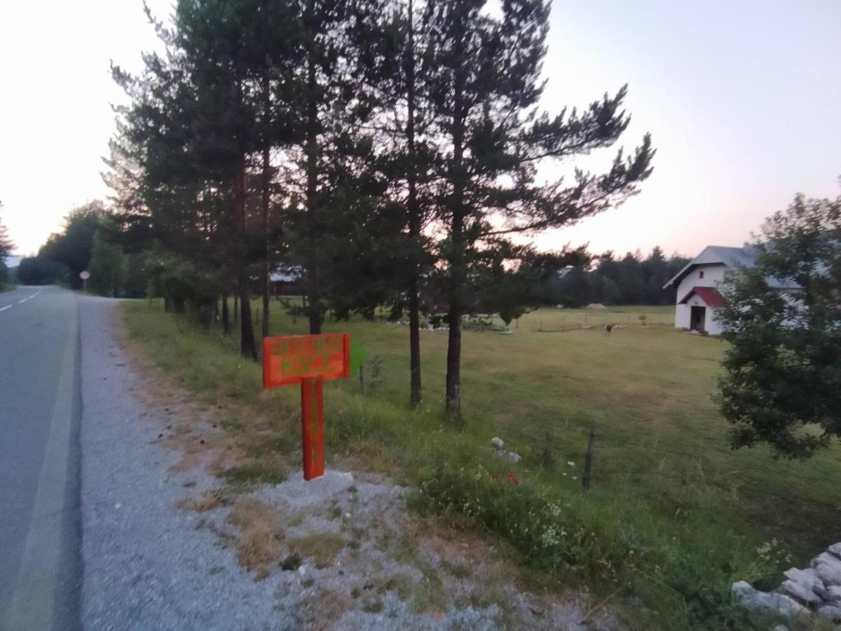 Villa Vikendica Borje Žabljak Exterior foto